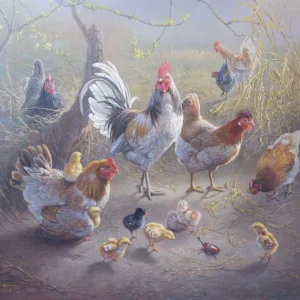 Chikens fams 90x100cm