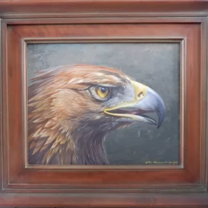 Eagle 40x50cm include frame 10jt